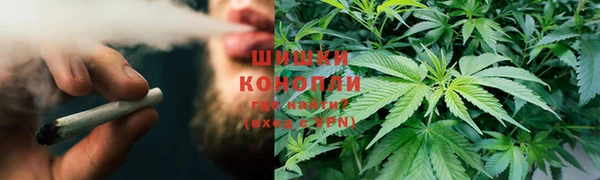 прущая мука Вяземский