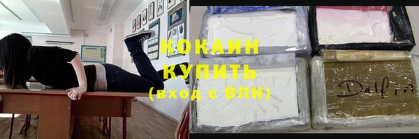 гидра Вязьма