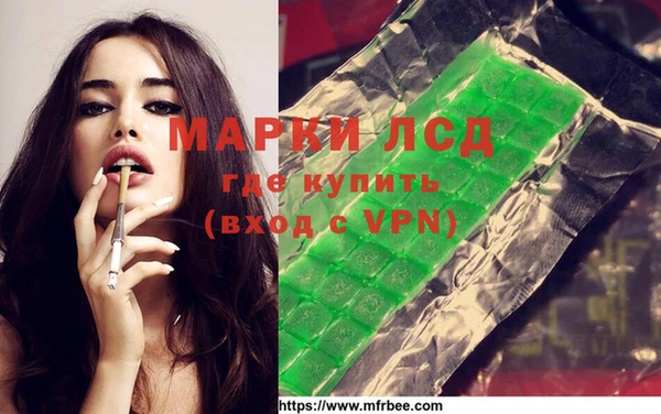 гидра Вязьма