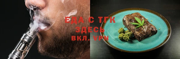гидра Вязьма