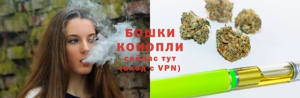 гидра Вязьма