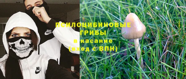 прущая мука Вяземский
