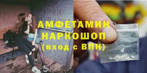гидра Вязьма