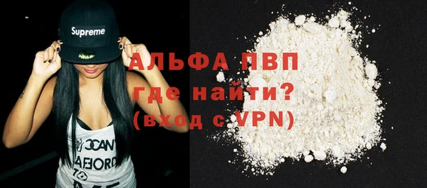 гидра Вязьма