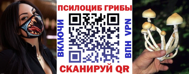 где можно купить наркотик Армавир Галлюциногенные грибы Magic Shrooms